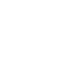 stylus_laser_pointer_48dp_FFFFFF_FILL0_wght400_GRAD0_opsz48